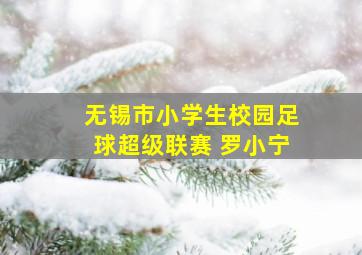 无锡市小学生校园足球超级联赛 罗小宁